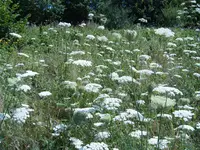 S4300001-1.webp S4300001-1.webp