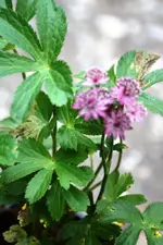 Bild.webp