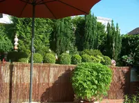 100_1843.webp