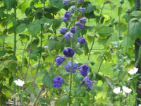IMG_2292.webp