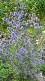014 (2).webp