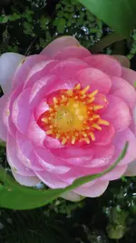 016.webp