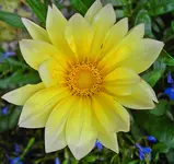 PICT5175.webp