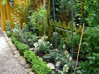 CIMG0365.webp