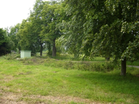 Garten.webp
