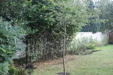 IMG_0873  1.webp