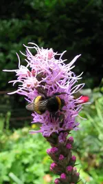 008 (2).webp