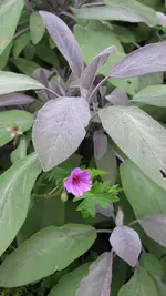 021 (3).webp