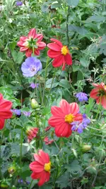 021.webp