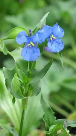 023 (2).webp