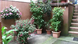 028 (3).webp