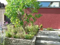 Vorgarten 3.webp