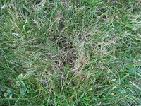 Bild2.webp