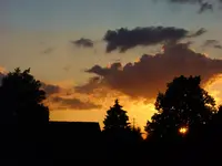 11.07.09 090.webp