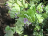 20090805_9106.webp