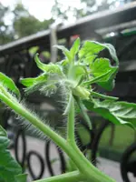 Bild 009.webp