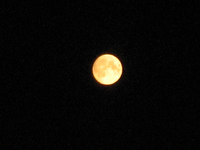 IMG_2299.webp