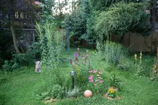 IMGP6796.webp