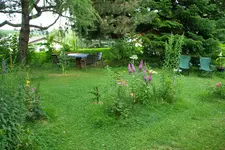 IMGP6736.webp
