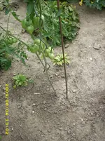 JD500041.webp