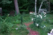 IMGP6813.webp