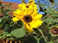 Bilder050809 004 (Medium).webp