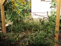 Haus040809 036.webp