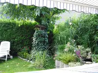 CIMG0515.webp