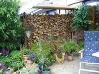 CIMG0513.webp