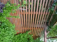 P1030128.webp