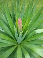 20160523_153958.webp