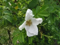 021.webp