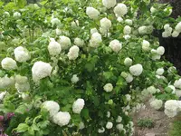 022.webp