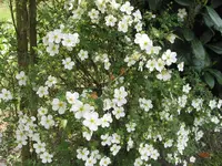 023.webp