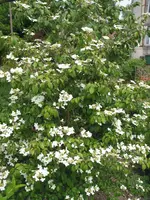 025.webp