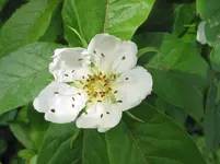 030.webp