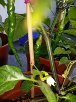 20160523_Tag103 (3).webp
