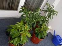 20160523_Tag103 (5).webp