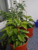 20160523_Tag103 (6).webp
