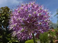 DSCF9005.webp