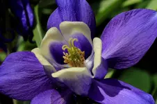 2016-05-11-8383.webp