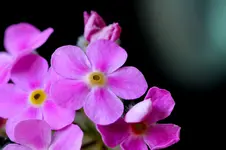 2016-05-13-8448.webp