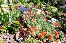 2016-05-21-8527.webp