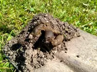 WP_20160521_10_59_16_Pro.jpg