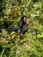 WP_20160521_11_03_26_Pro.jpg