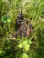 WP_20160522_15_09_01_Pro.jpg