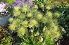 DSCF5941 (2).webp