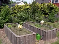 IMGP8807.webp