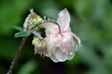 DSC_7826.webp