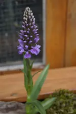 _DSC0473.webp